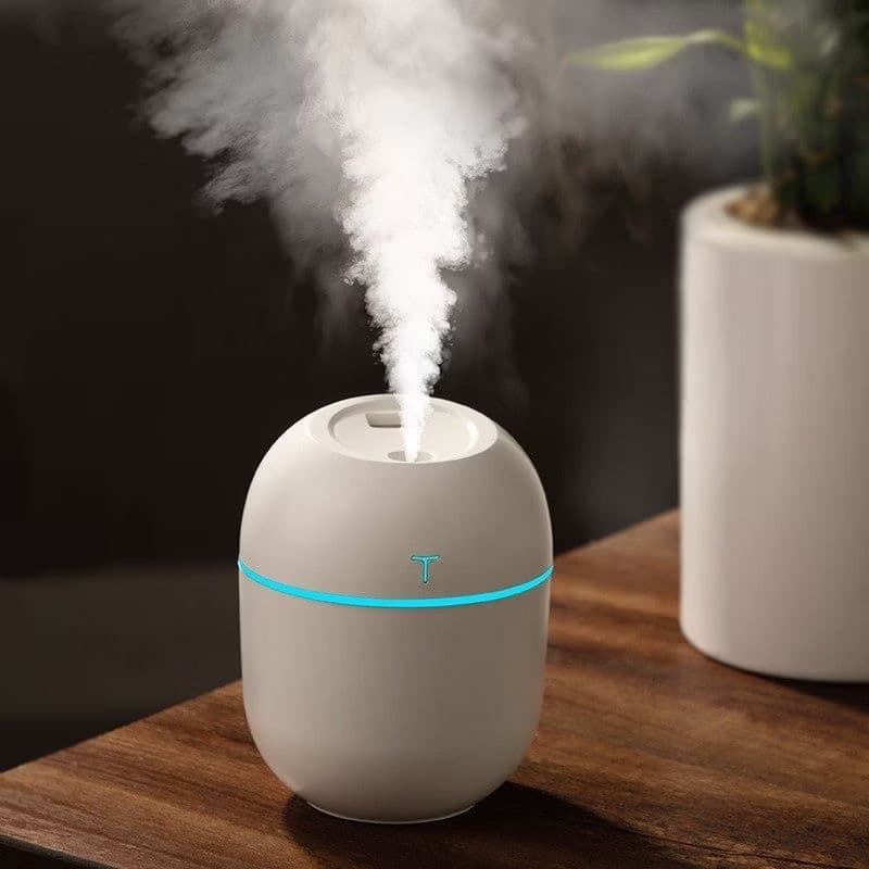 Egg Diffuser product photo