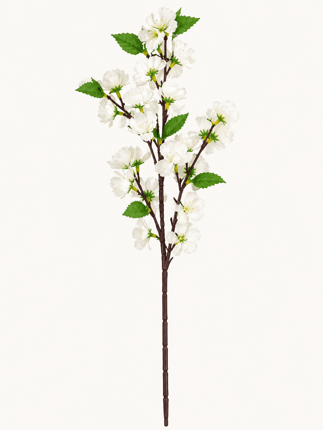 3d Blossom Flower product photo